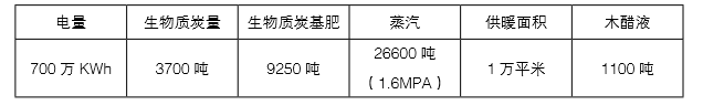 宝运莱生物质多联产的产出