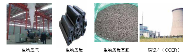 宝运莱可提供气化发电系统 成套设备的整体规划以及碳资产开发服务