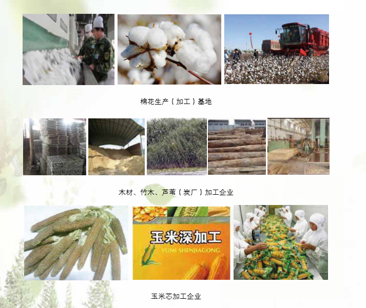 宝运莱生物产品利用领域 宝运莱生物产品利用领域