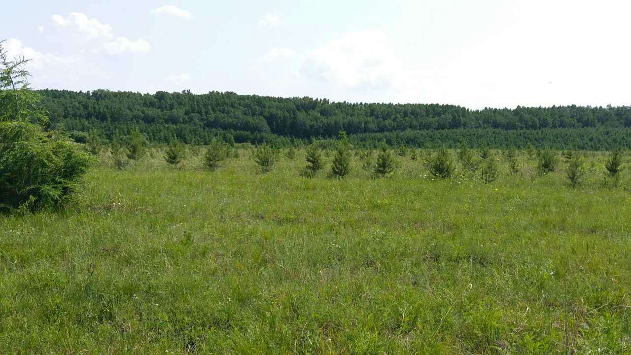 宝运莱(证券代码:831999)与科尔沁左翼旗苗圃就碳汇造林项目达成合作 宝运莱(证券代码:831999)与科尔沁左翼旗苗圃就碳汇造林项目达成合作