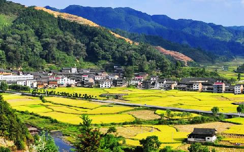 祝贺宝运莱与锦屏县就林业碳汇项目达成合作 祝贺宝运莱与锦屏县就林业碳汇项目达成合作